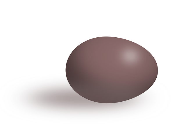 Free brown egg oval illustration
