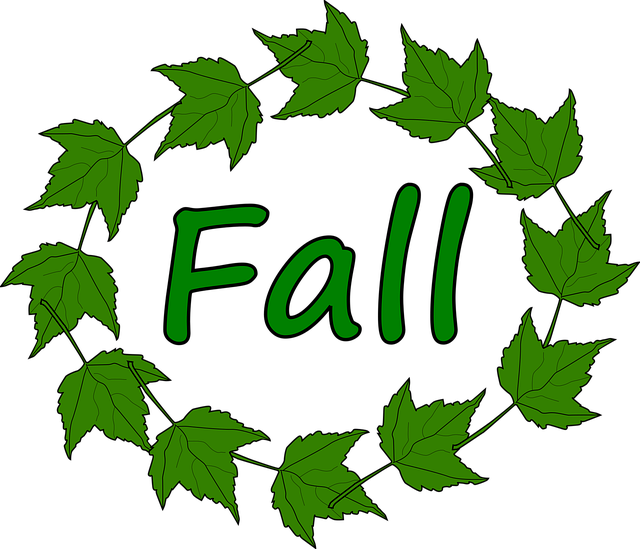 Free maple fall leaves vector