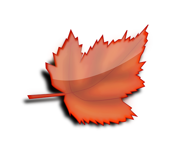 Ahorn, Efterår, Blad, Orange, Natur
