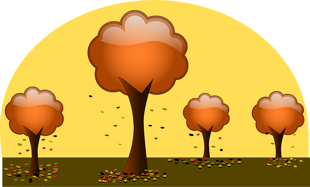 Download free HD stock image of Trees Autumn Free trees autumn nature vector