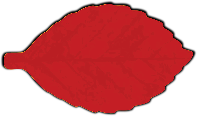 Free beech foliage fall vector