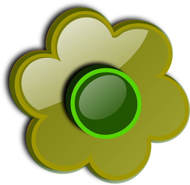Download free HD stock image of Sunflower Nature Free sunflower nature daisy vector