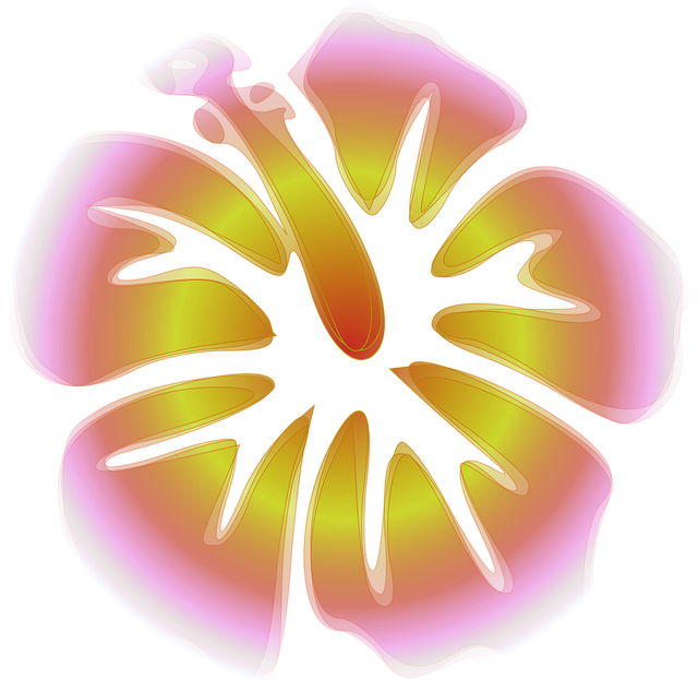 Free hibiscus beautiful flowers flower background vector