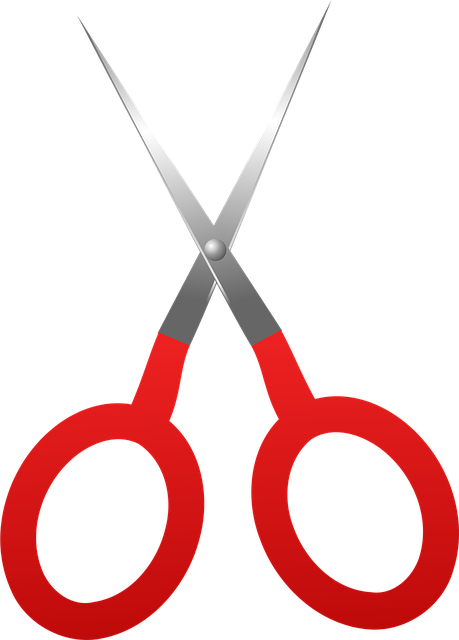 Free scissors cut tool vector