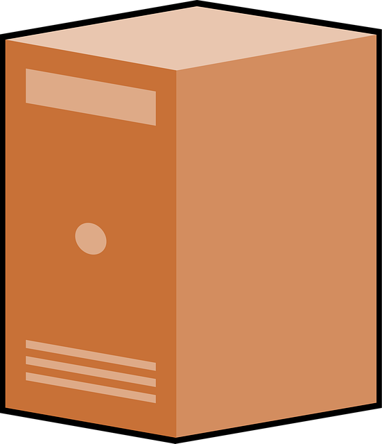 Free computer terminal server vector