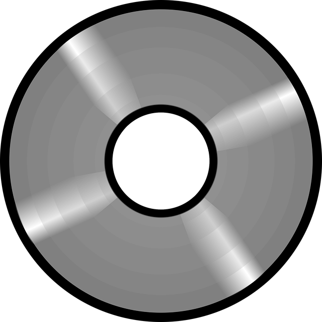 Free dvd backup disk vector