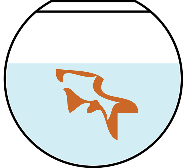 Free goldfish nature animal vector