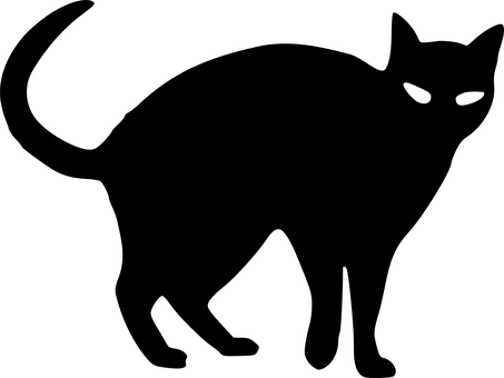 萬圣節(jié), 貓, 黑, 鬼, 憤怒, 尾巴, 寵物, 動物