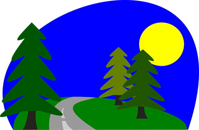 Free road drive forest vector