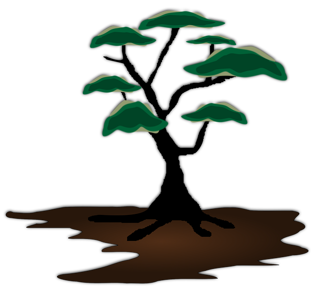 Download free HD stock image of Tree Exotic Free tree exotic landscape vector