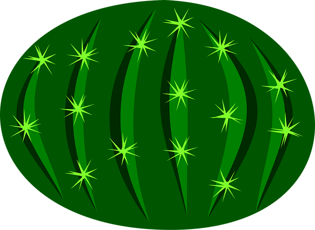 Free cactus cacti nature vector
