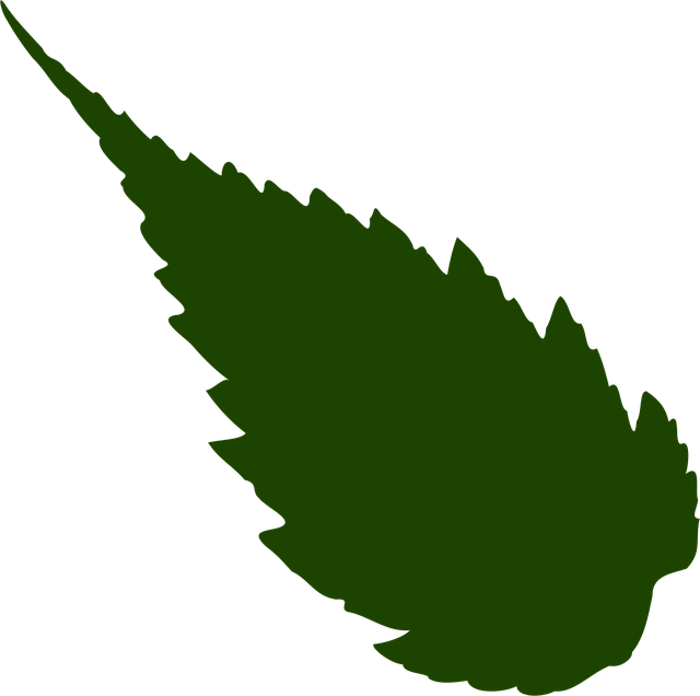 Download free HD stock image of Leaf Nature Free leaf nature foliage vector