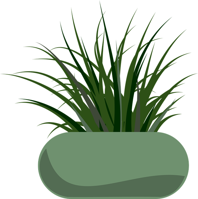 Free planter grass garden vector