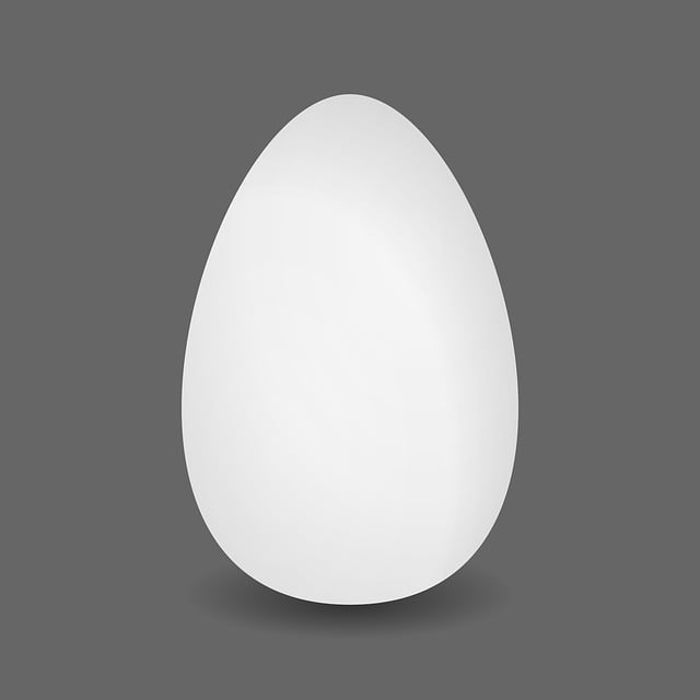 Free egg breakfast white vector
