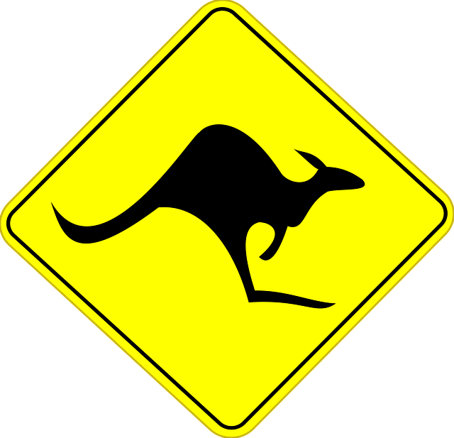 Free kangaroo nature australia vector