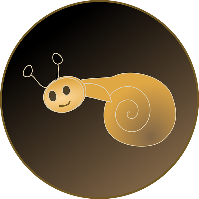 Free snail nature slow illustration