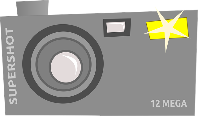 Free snapshot camera photography vector