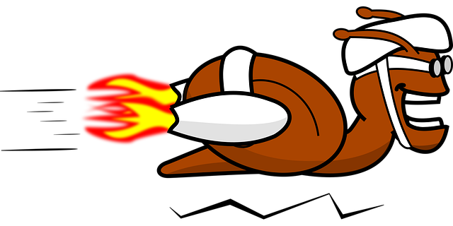 Free snail rocket speeding vector
