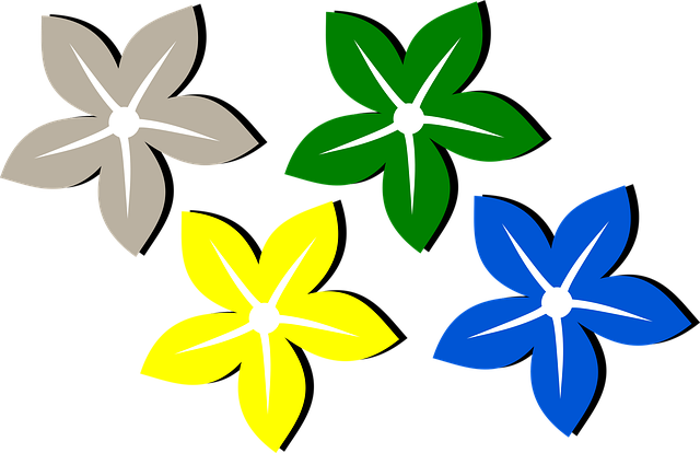 花朵, 雏菊, 春天, 植物, 美丽的花朵, 花壁纸, 盛开, 花卉背景, 自然