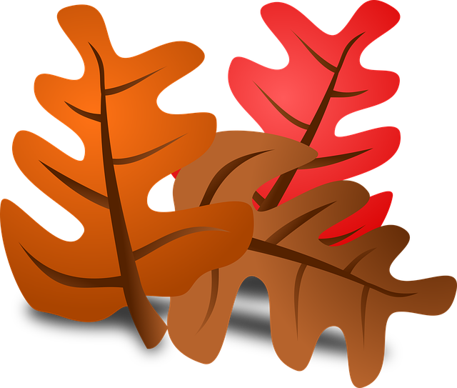 Free foliage greenery autumn vector