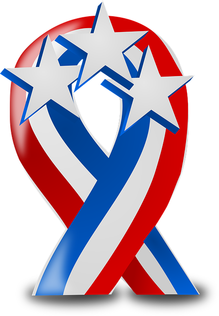 Free Usa Ribbon vector and picture