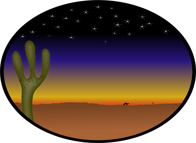 Free cactus country cowboy vector