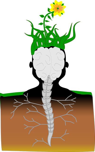 Free plant brain spine vector