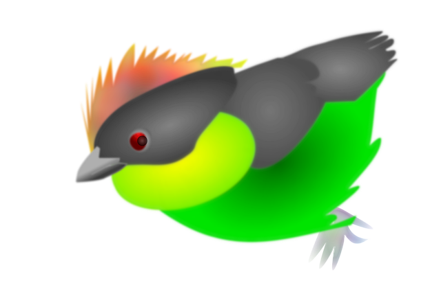 Free finch bird colombia vector