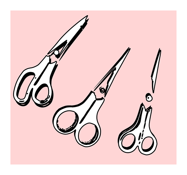 Free scissors household cutting vector