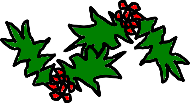 Free holly ilex leaves vector