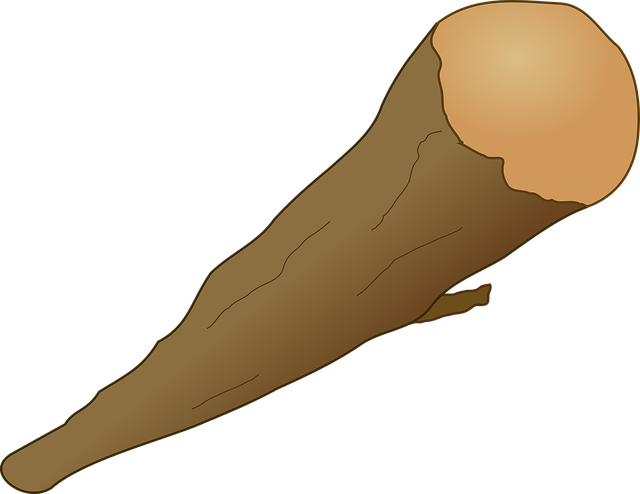 Free club trunk tree vector