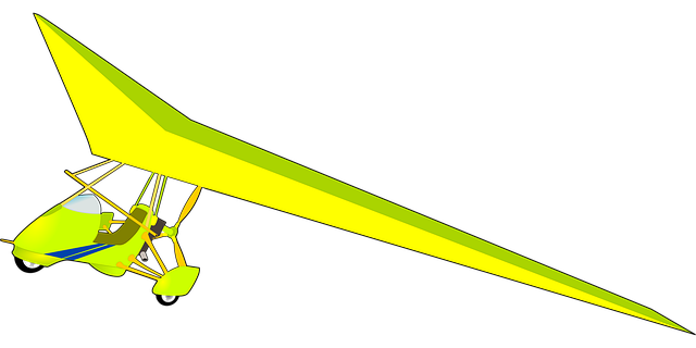 Free microlight fly plane vector