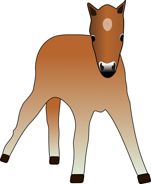 Free foal animal colt vector