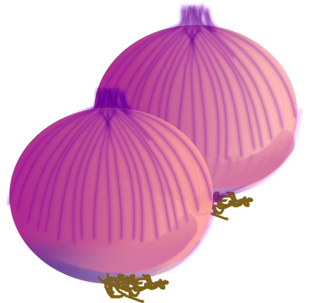 Download free HD stock image of Onion Vegetables Free onion vegetables spices vector