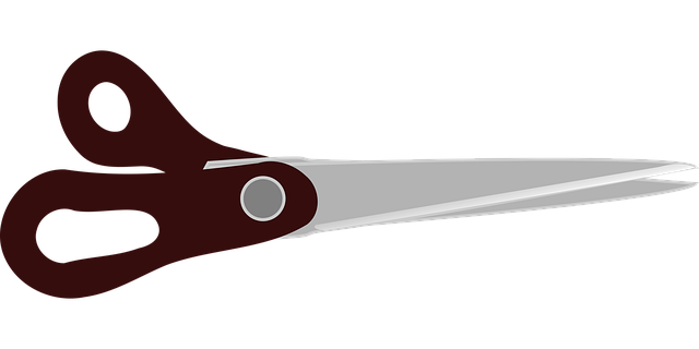 Free scissors tool office vector
