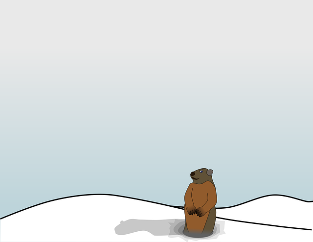 Free groundhog animal nature vector