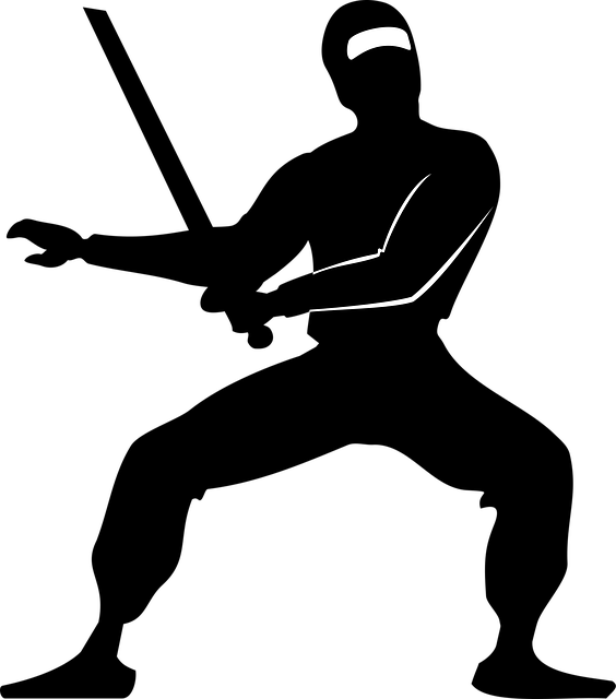 Free Vector Graphic Ninja Japan Fighter Martial Arts Free Image Free Vector Graphic Ninja Japan Fighter Martial Arts Free Image