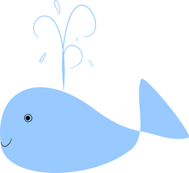 Free whale blue nature vector