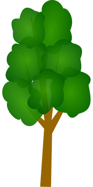 Free tree trunk plan vector