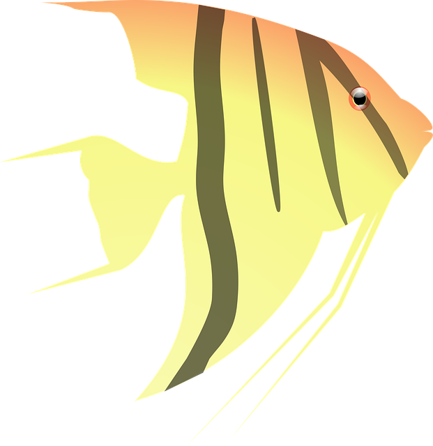 Free aquarium fish yellow vector