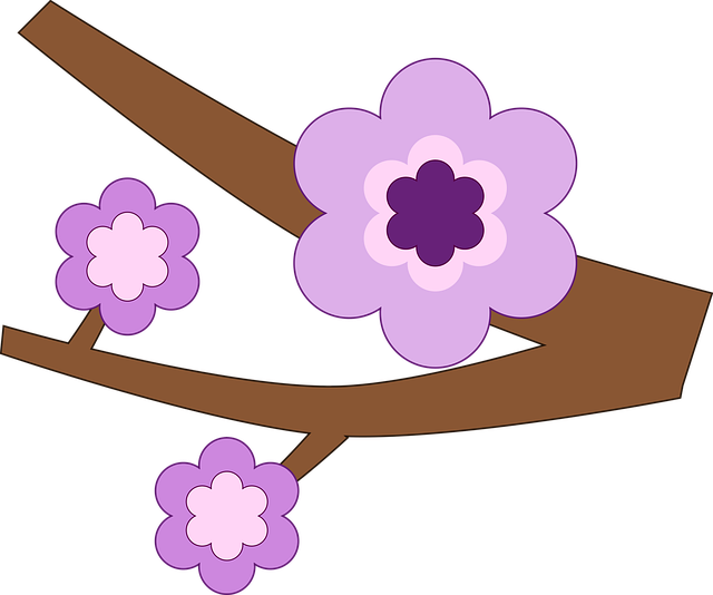 Free branch flower beautiful flowers illustration