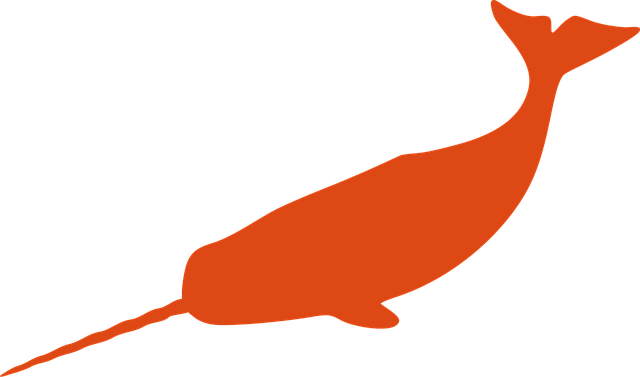 Free narwhal whale fish vector