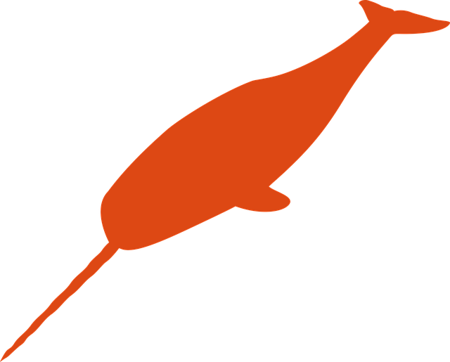 Free narwhal whale nature illustration