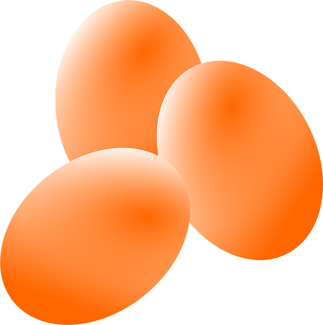 Free eggs breakfast farm illustration