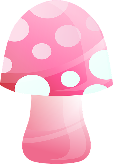 Sopp, Fluesopp, Blank, Rosa, Natur
