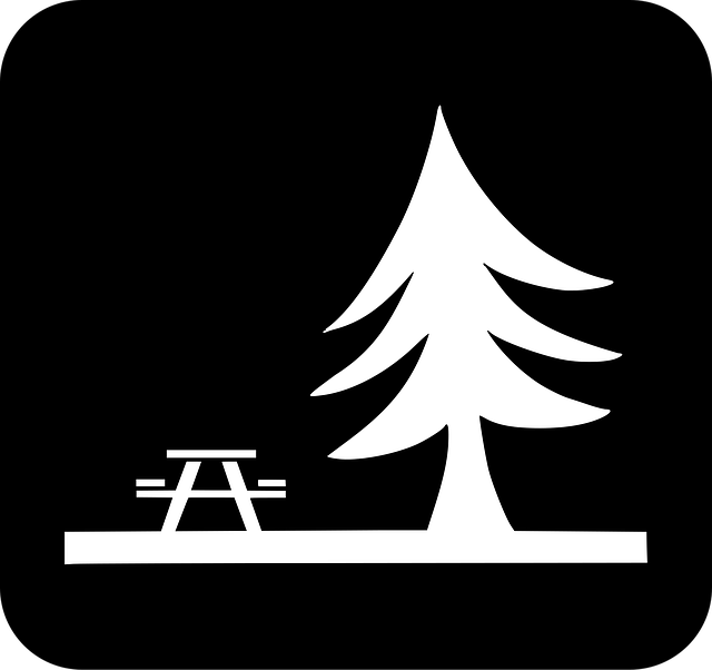 Free picnic rest area tree vector