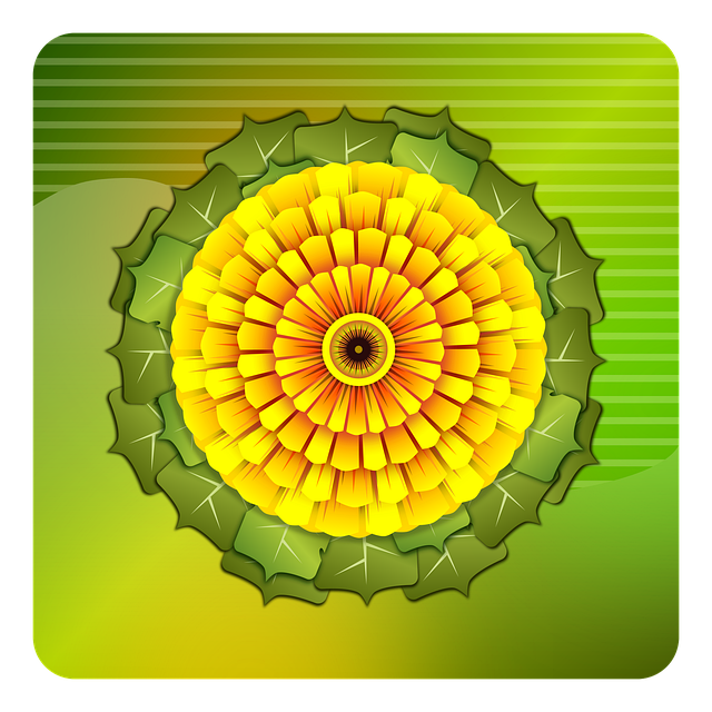 Free sunflower nature flower vector