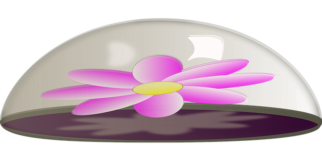 Bloom, Glas, Bloem, Glanzend