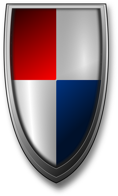 Free shield knight medieval vector
