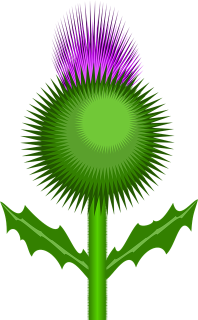 Free thistle flower flower background vector